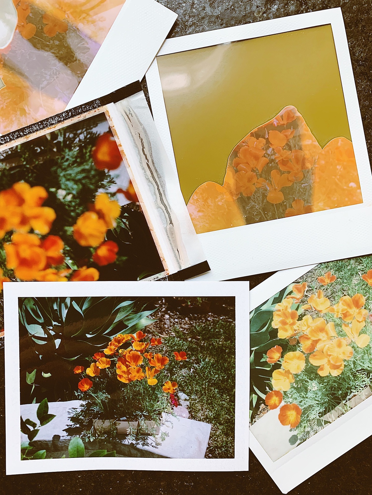 Collage image of so many flower images
